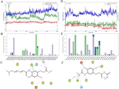 Screening, optimization, and ADMET evaluation of HCJ007 for pancreatic cancer treatment through active learning and dynamics simulation